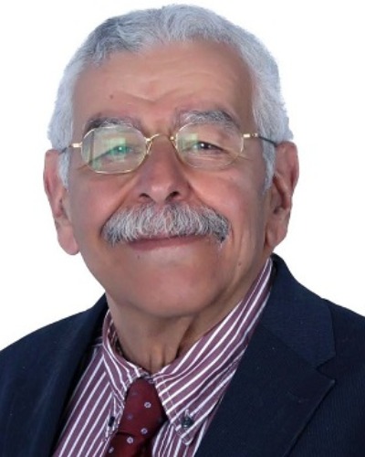 Hadi Eltonsi, Speaker at Psychiatry Conferences